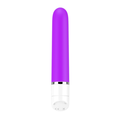 10 częstotliwości wibracji Zabawki seksualne dla kobiet Zabawki seksualne G-spot vibrator Wielkie mini-bullet vibrators