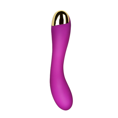 10 prędkości Vibrator Dildo USB Wielkozadany G Spot Vibrator Masaż łechtaczki dla kobiet