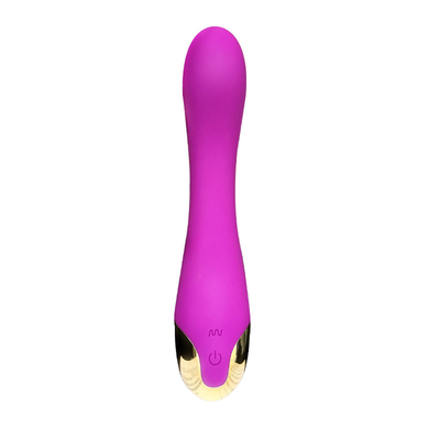 10 prędkości Vibrator Dildo USB Wielkozadany G Spot Vibrator Masaż łechtaczki dla kobiet