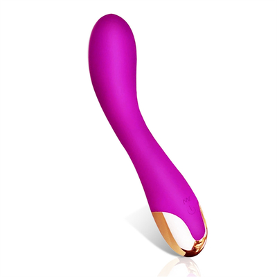 10 prędkości Vibrator Dildo USB Wielkozadany G Spot Vibrator Masaż łechtaczki dla kobiet