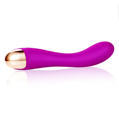 10 prędkości Vibrator Dildo USB Wielkozadany G Spot Vibrator Masaż łechtaczki dla kobiet