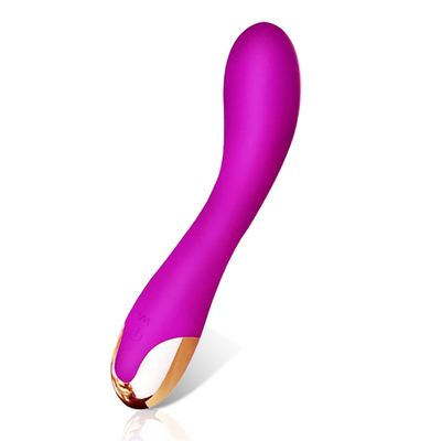 10 prędkości Vibrator Dildo USB Wielkozadany G Spot Vibrator Masaż łechtaczki dla kobiet