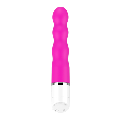 10 częstotliwości wibracji Zabawki seksualne dla kobiet Zabawki seksualne G-spot vibrator Wielkie mini-bullet vibrators