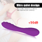 Bezprzewodowy wibrator Dildos dla kobiet Kobieta, bezprzewodowy wibrator G-spot Zabawki seksualne dla kobiet