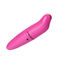 Różowe wibratory punktowe G Pocket Rocket Dolphin Female Sex Toy Wibrator