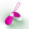 Rose Red Remote Bullet Vibe Wibracyjny wibrator kulkowy Wibrator jajeczny Zabawki dla dorosłych