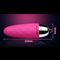ODM OEM Wireless Remote Bullet Vibrating Love Anal Egg dla mężczyzn / kobiet